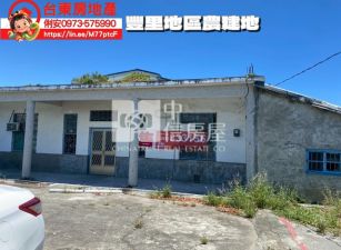 台東房地產 / 豐里地區農建地