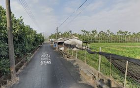 潮州興美段跳傘場附近方正美農地