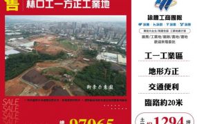 林口工一方正工業地146