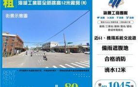 海湖工業區全新挑高12米合法廠房