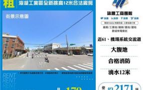 海湖工業區全新挑高12米合法廠房