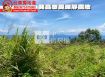 台東房地產 /  興昌忘憂禪靜農地