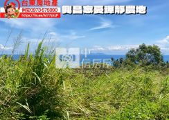 台東房地產 /  興昌忘憂禪靜農地