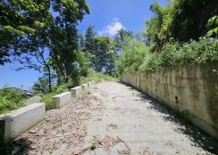 『近溪頭建地』鹿谷都計內近溪頭聽濤園內樹皮段建地