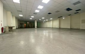 蘆竹獨棟工業廠房 •    桃園廠房買賣/工業地/建地/徵收農地/廠房出租