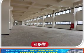 桃科三面臨路氣派挑高RC廠房