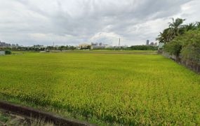 鳥松神農路附近0.5分方正農地