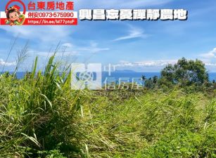 台東房地產 /  興昌忘憂禪靜農地