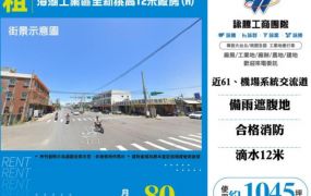 蘆竹廠房出租-海湖工業區全新挑高12米合法廠房(A)