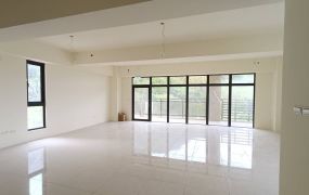 大溪台3乙/挑高11米/可廠登廠房 •    桃園廠房工業地