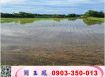 楊近台31線美農地/工業地廠房買賣租賃