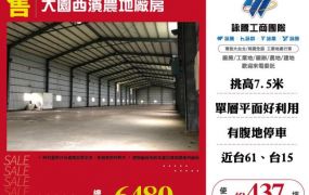 大園西濱農地廠房