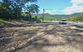 (專約)六龜妙崇寺公路邊農地