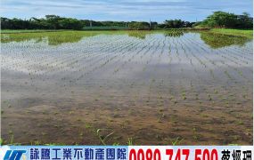 楊近台31線美農地/工業地廠房買賣租賃