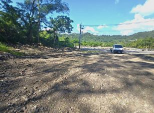 (專約)六龜妙崇寺公路邊農地
