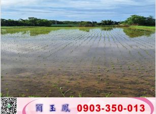 楊近台31線美農地/工業地廠房買賣租賃