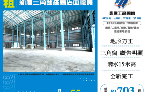 新屋三角窗挑高17米店面廠房