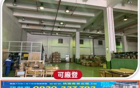 大園氣派挑高廠房