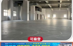 大園工業區全新氣派廠房