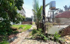 岡山頂潭百坪建地