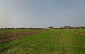近66新屋便宜美田
