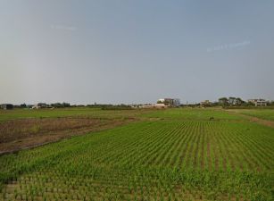 近66新屋便宜美田