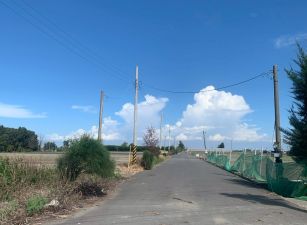 四湖鄉雙面路大面寬農地26-001