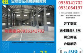 全新合法挑高鋼構廠房