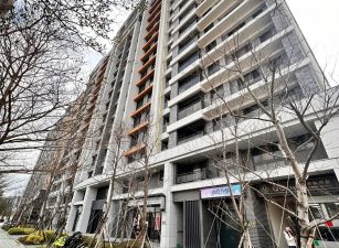 新埔高樓層朝南視野戶二房
