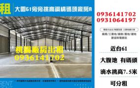 大園61旁挑高鋼構碼頭廠房