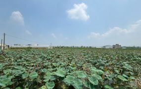 民雄都計內小筆農地28-001