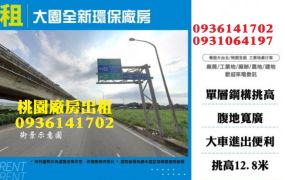 大園全新環保廠房出租