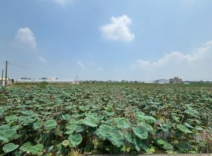 民雄都計內小筆農地28-001