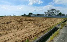 白河大面寬方正美農地28-003