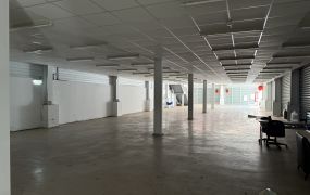 龜山工業區店面廠房•   桃園廠房出租/工業地/廠房/建地/徵收農地/買賣