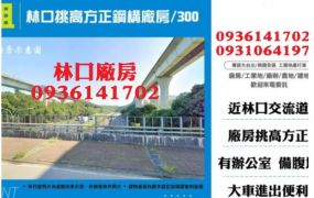 林口挑高方正鋼構廠房/300