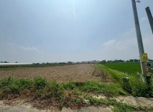 民雄雙援美農地28-002