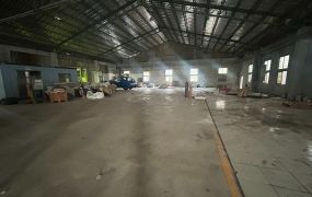 鶯歌/挑高6米/天車/RC+鋼構廠房•	新北市廠房工業地買賣出售/廠房出租