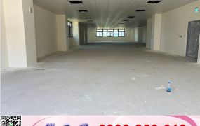 林口交流道旁全新廠房/工業地廠房買賣租賃