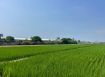 專約#路竹近交流道重劃方正美農地