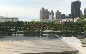 獨家專租｜達麗世界灣｜極致之灣大邸｜可短租｜渡假旅遊｜商務