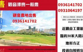 觀音農地出售-漂亮一般農