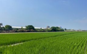 專約#路竹近交流道重劃方正美農地