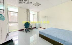 仁德嘉藥收租8套房學宿透天