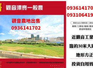 觀音農地出售-漂亮一般農