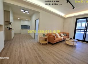 安南安中路國宅翻新美三房寓