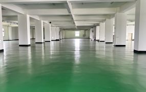 蘆竹新穎方正RC廠房出租(五樓+六樓)