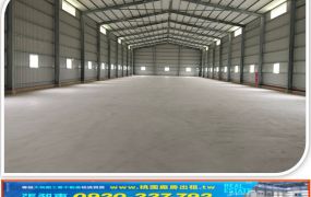 大園61旁挑高鋼構倉庫543