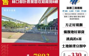林口都計農業區收租廠房B棟124