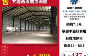 大園西濱農地廠房